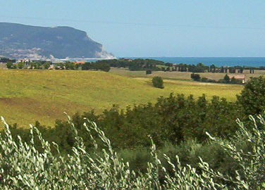 Panorama unserer Hügellandschaft